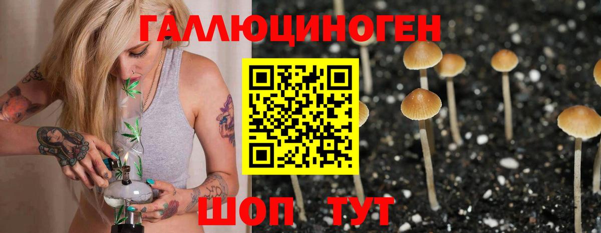 Кропоткин  Псилоцибиновые грибы Magic Shrooms  где продают   Вход с VPN 